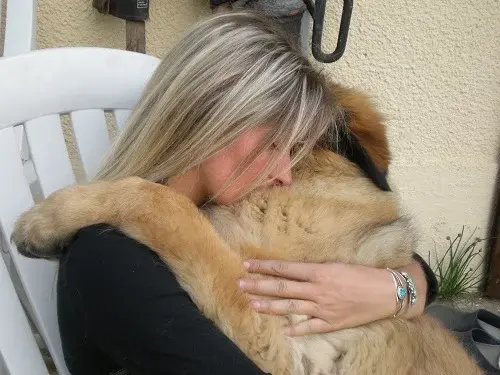 Une femme aux cheveux blonds enlace tendrement un grand chien à poils longs de race Léonberg.