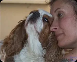 Alexandra et Romy, chienne adoptée après la maltraitance