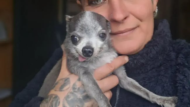 Femme tatouee petit chien gris 1